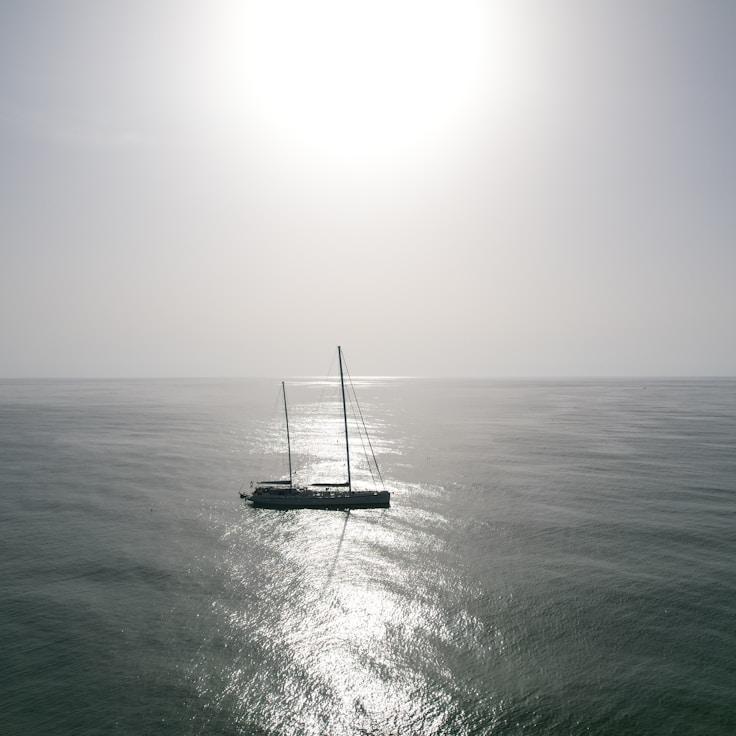 SoftPaperLeaf yacht fleet